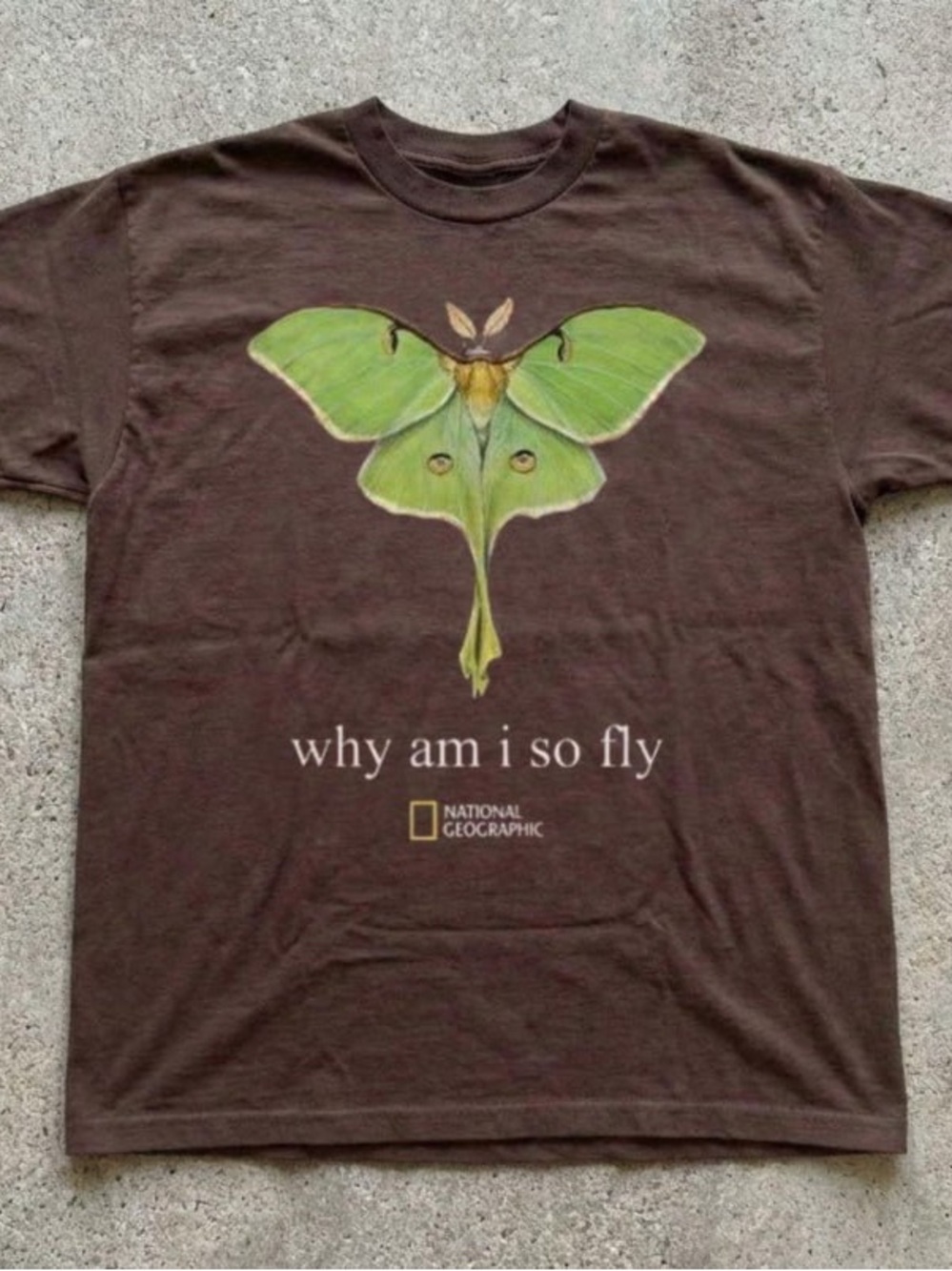 National Geographic Men’s Brown 'Why Am I So Fly' Graphic Tee